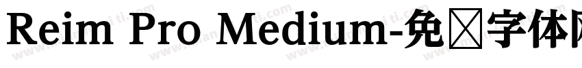 Reim Pro Medium字体转换